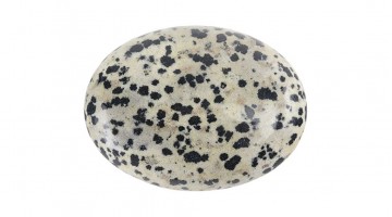 Acalmar com a Pedra Dálmata