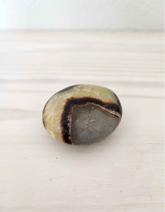 Dragão Septariano - Nódulo de 5cm