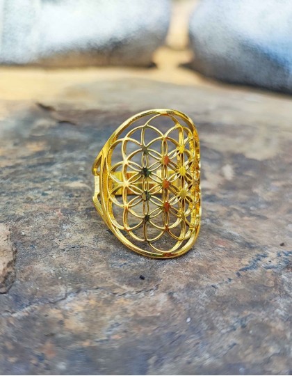 Anel em Aço - Flor da Vida