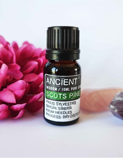 Óleo Essencial - Pinheiro Silvestre