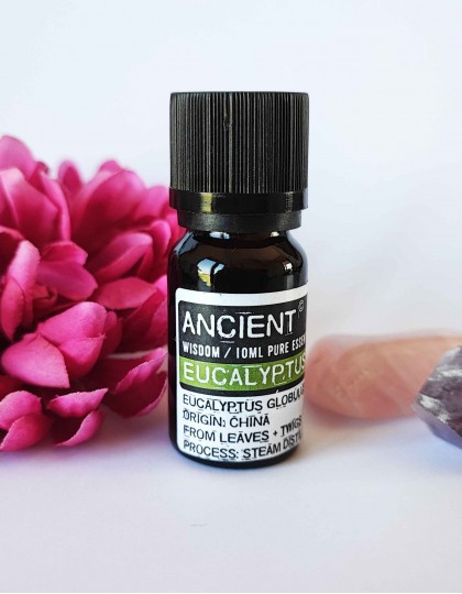 Óleo Essencial - Eucalipto